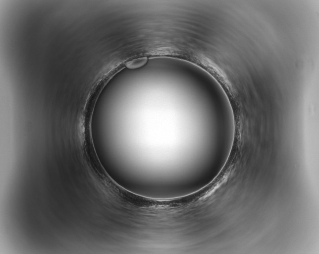 X0000094200298200710261157