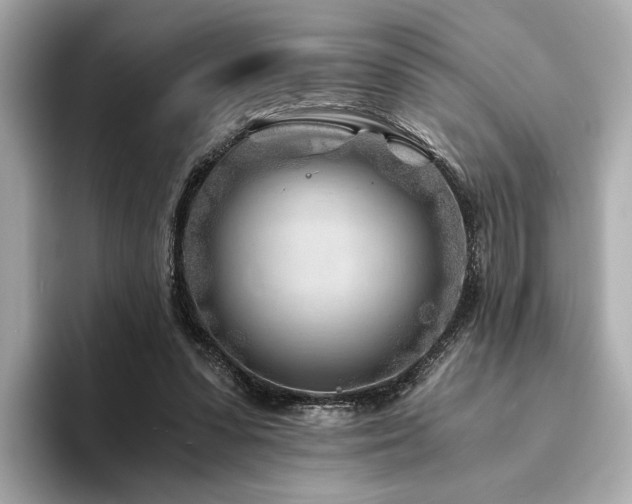 X0000094200303200710261157