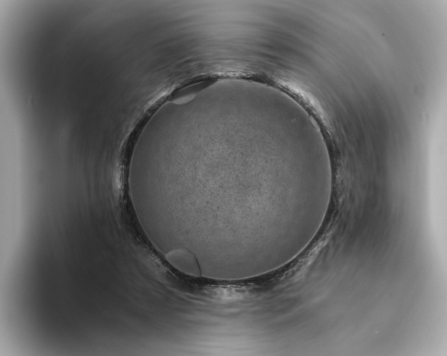 X0000094200305200710261157