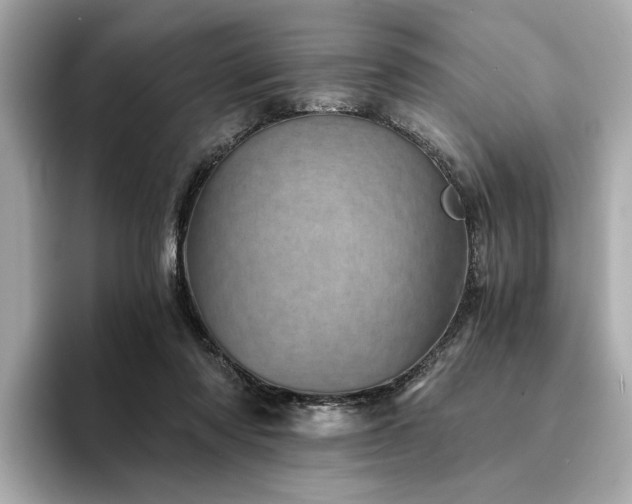 X0000094200310200710261157