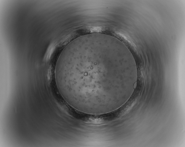 X0000094200311200710261157