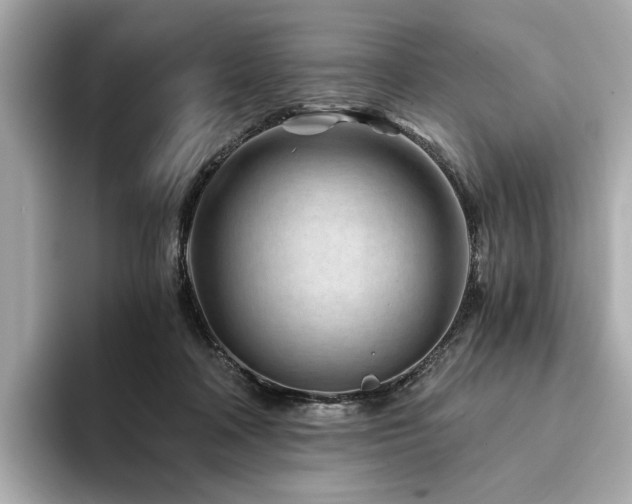 X0000094200314200710261157