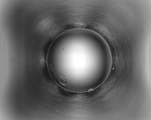 X0000094200320200710261157