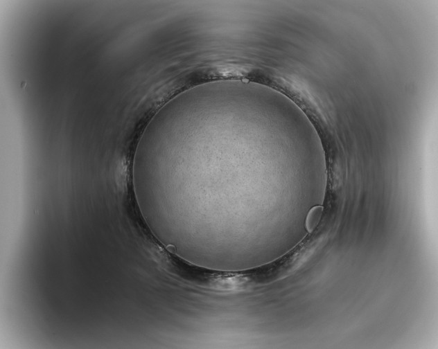 X0000094200321200710261157