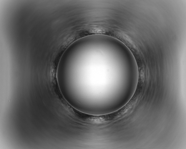 X0000094200322200710261157