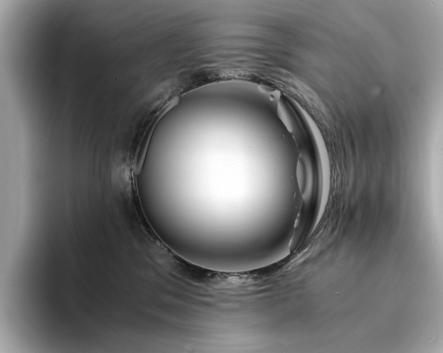 X0000094200329200710261157