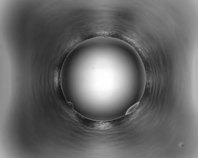 X0000094200334200710261157