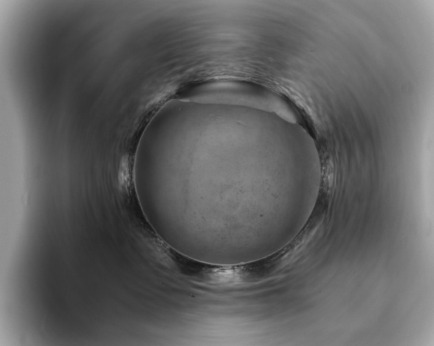 X0000094200335200710261157