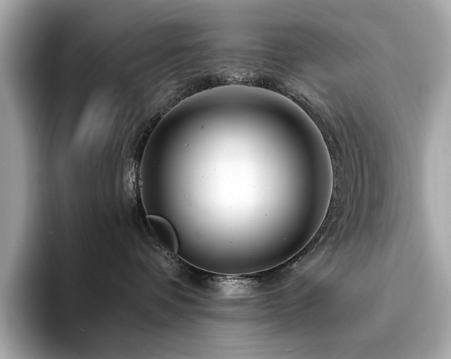 X0000094200336200710261157