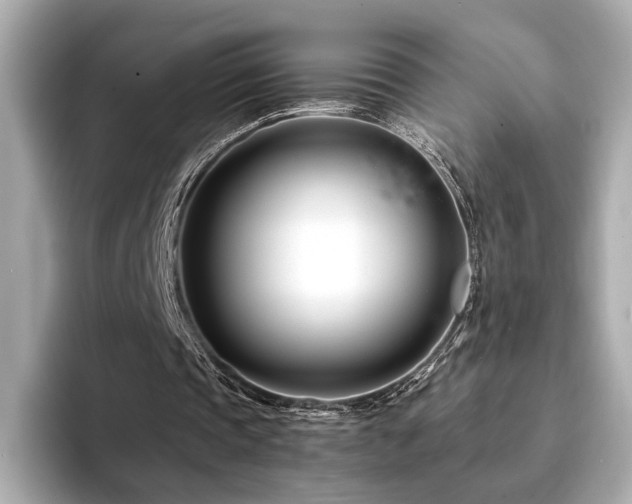 X0000094200337200710261156