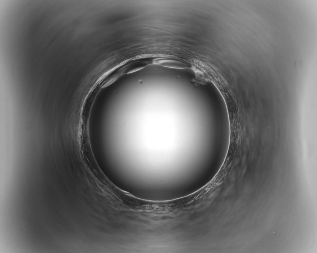 X0000094200338200710261156