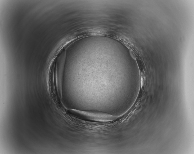 X0000094200339200710261156