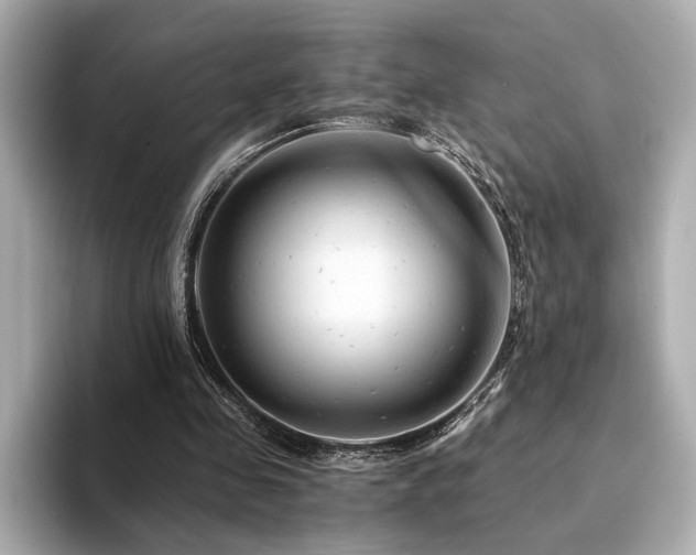 X0000094200341200710261156