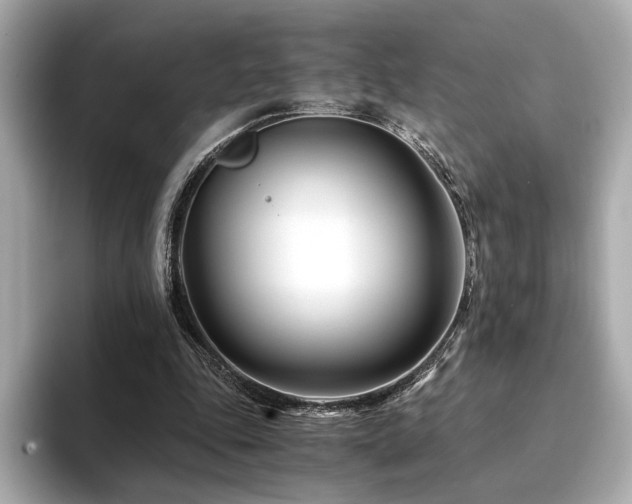 X0000094200343200710261156