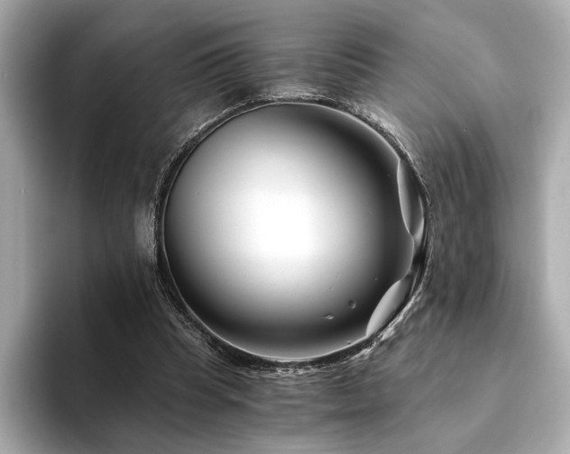 X0000094200345200710261156