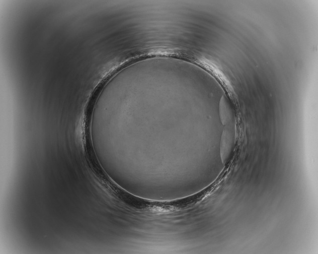 X0000094200346200710261156