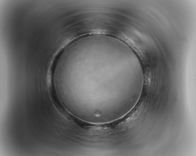 X0000094200347200710261156
