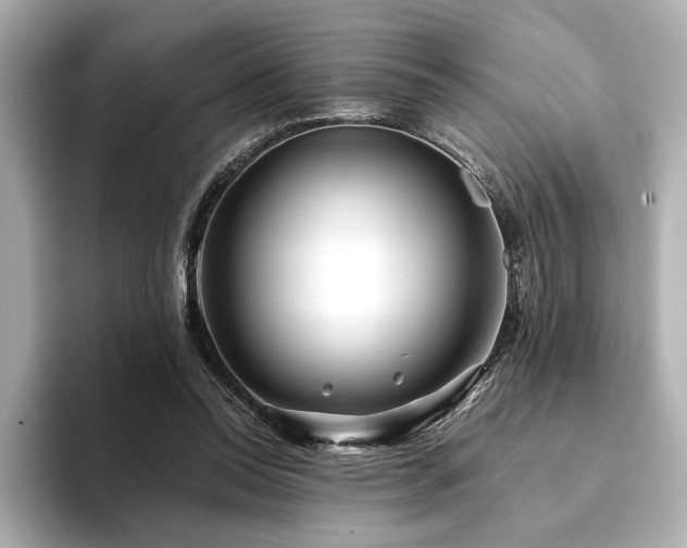 X0000094200350200710261156