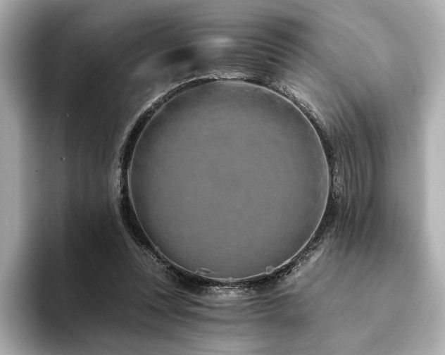 X0000094200351200710261156