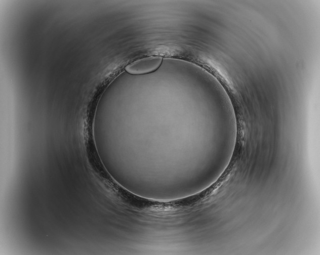 X0000094200354200710261156
