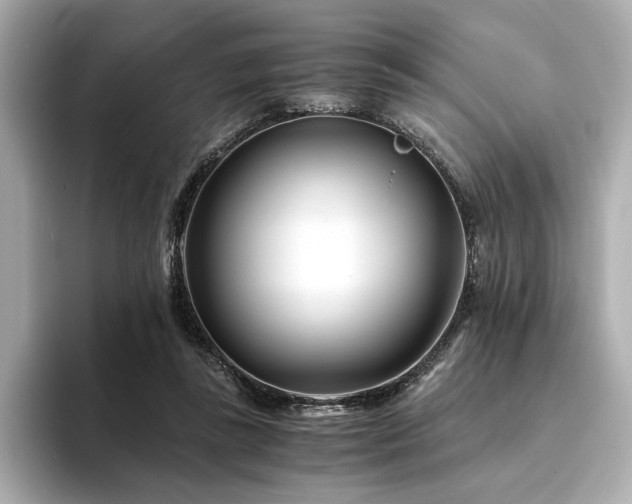 X0000094200355200710261157