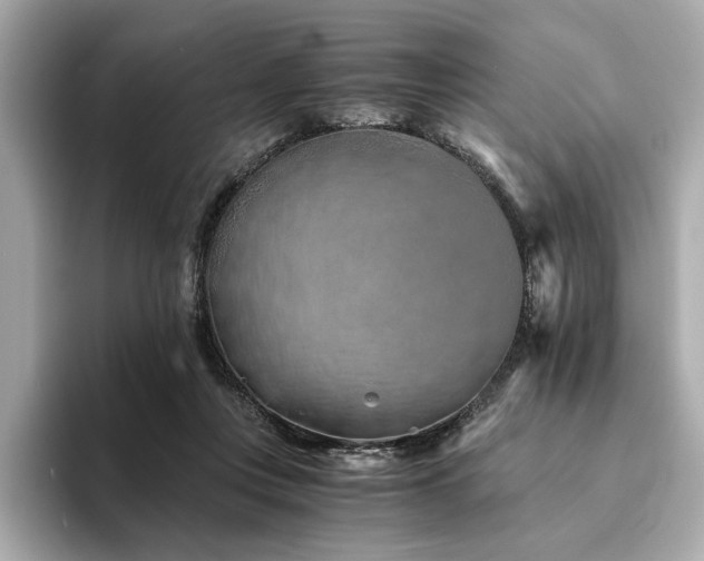 X0000094200359200710261157
