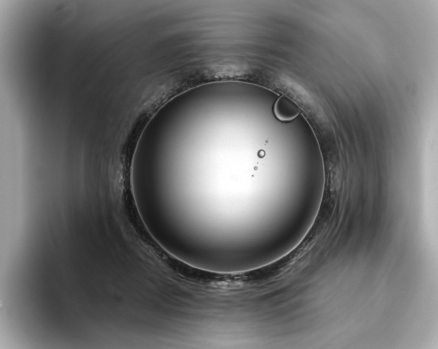 X0000094200362200710261157