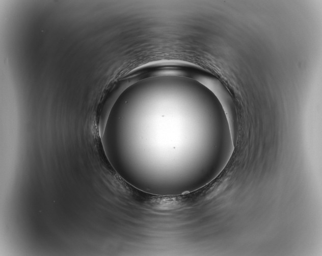 X0000094200384200710261157