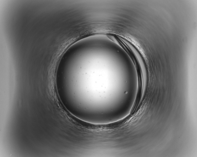 X0000094200385200710261156