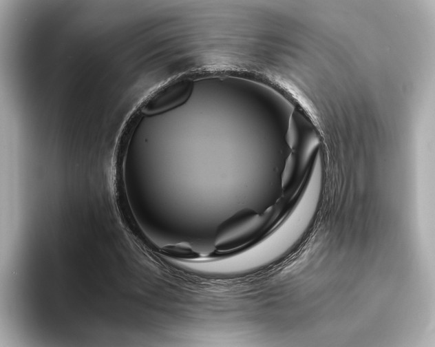 X0000094200391200710261156