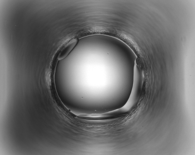 X0000094200395200710261156