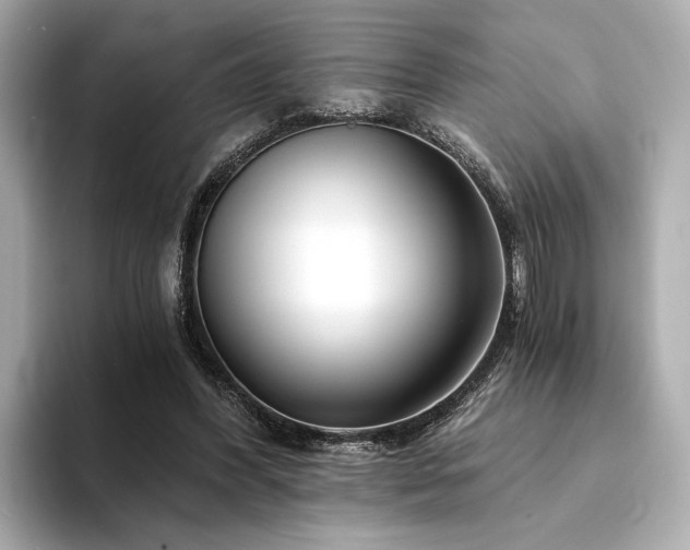 X0000094200396200710261156