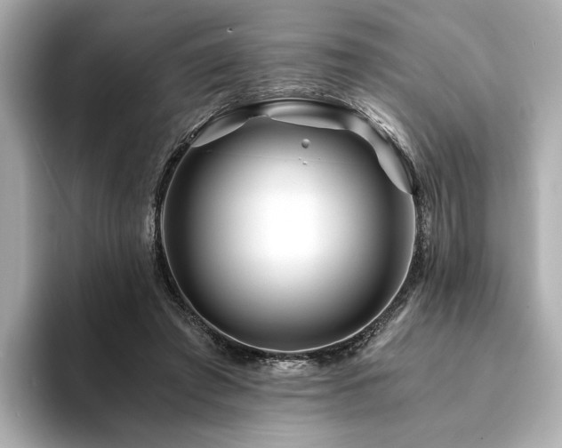 X0000094200401200710261156