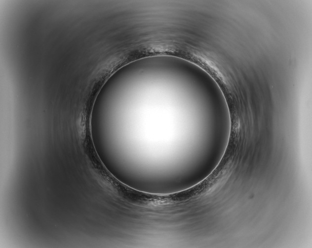 X0000094200402200710261156