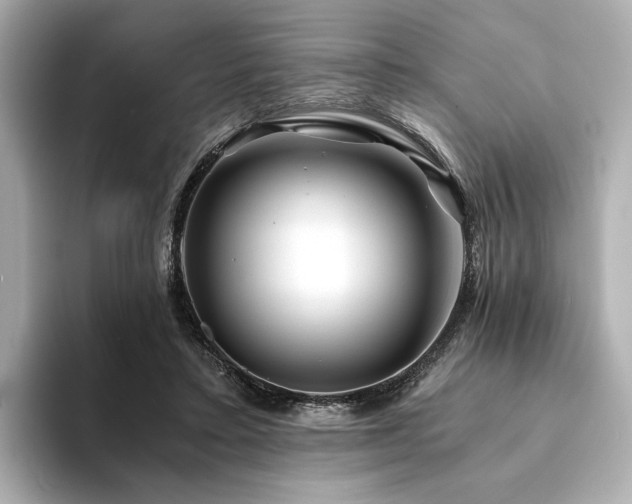 X0000094200403200710261156