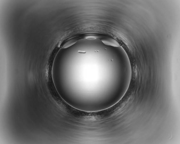 X0000094200404200710261156