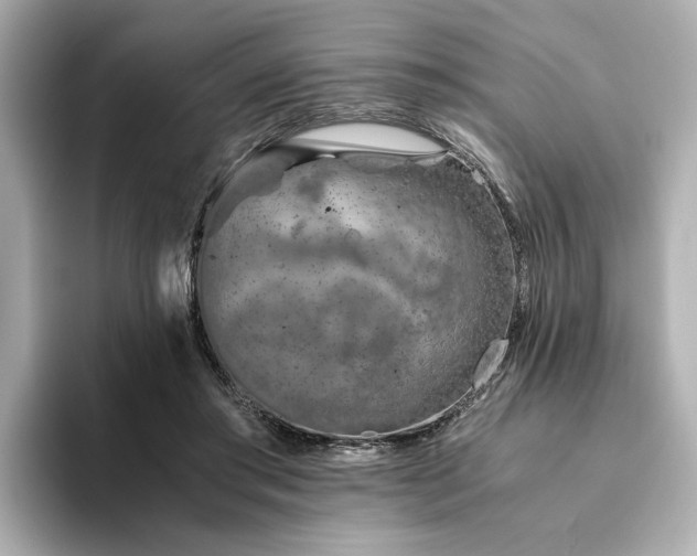 X0000094200405200710261156