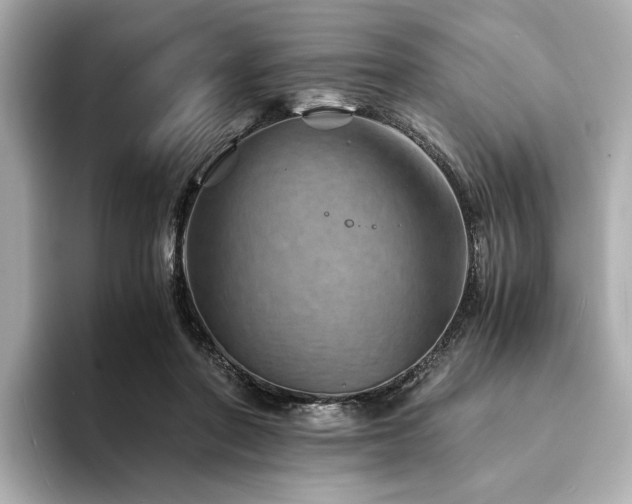 X0000094200406200710261156