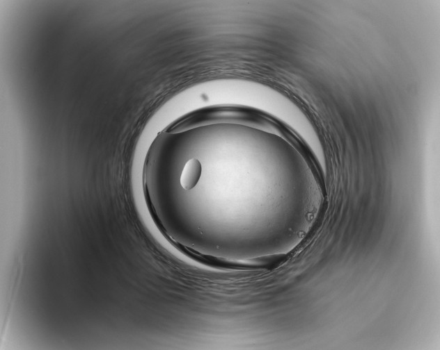 X0000094200411200710261156
