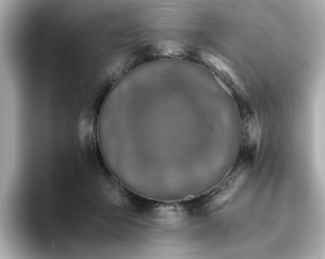 X0000094200415200710261156
