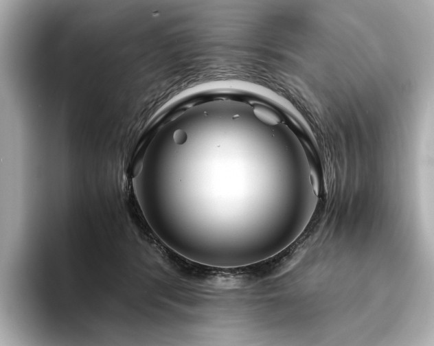 X0000094200416200710261156