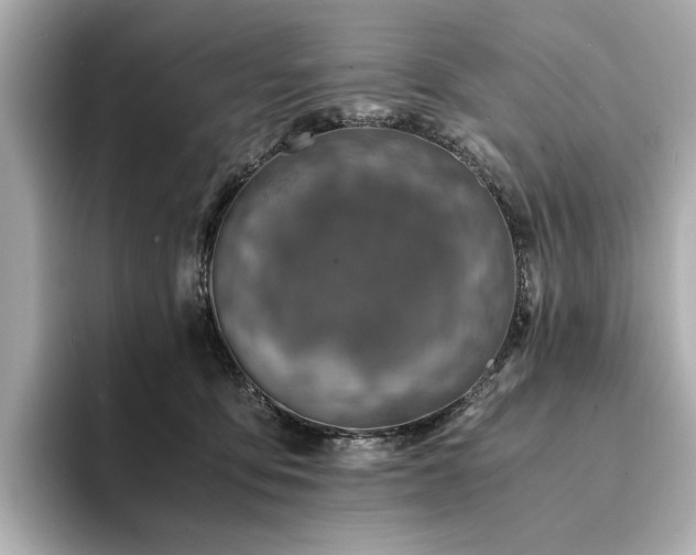 X0000094200419200710261156