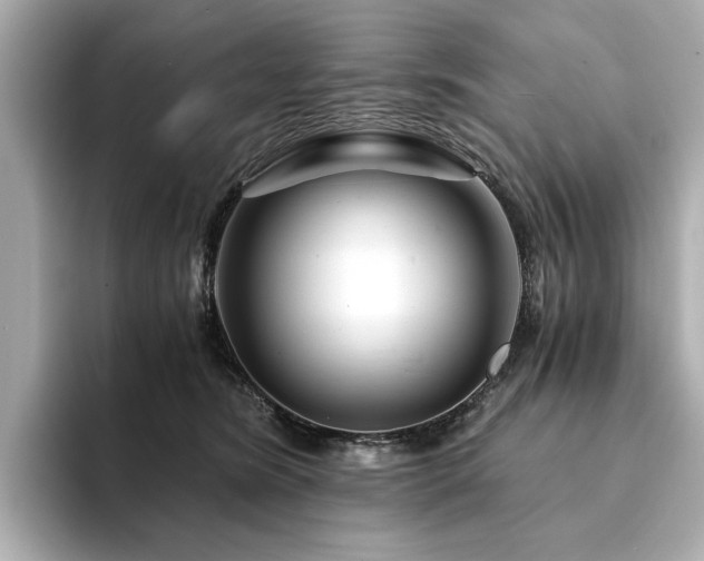 X0000094200420200710261156