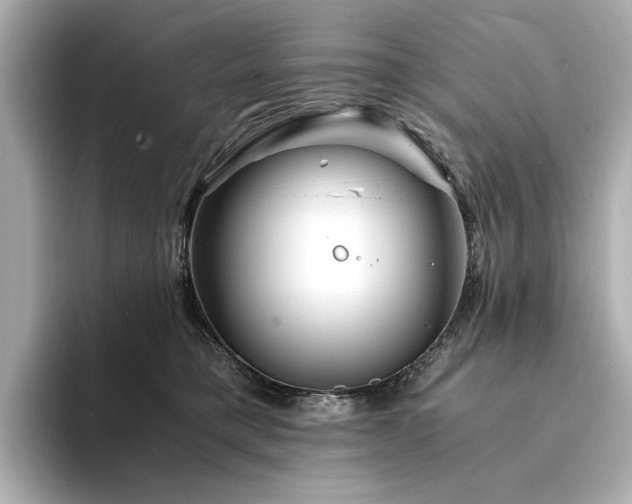 X0000094200421200710261156