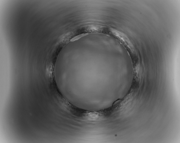 X0000094200423200710261156
