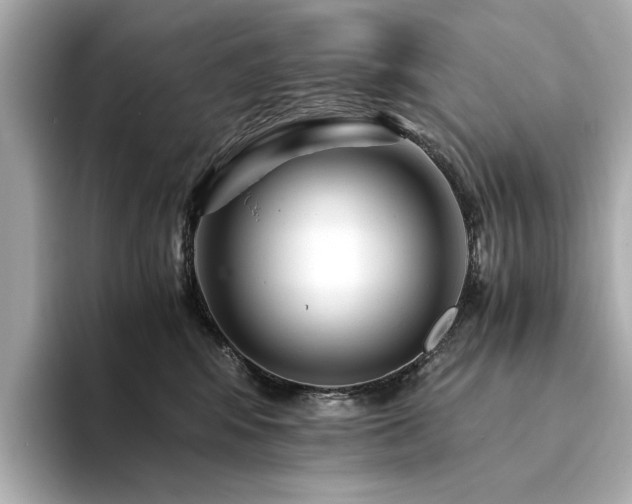 X0000094200424200710261156