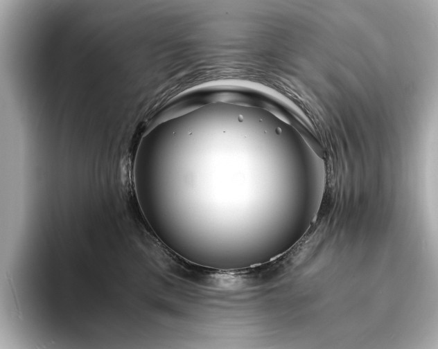 X0000094200425200710261156