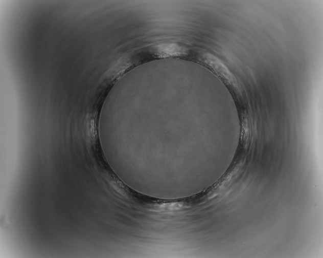 X0000094200426200710261156