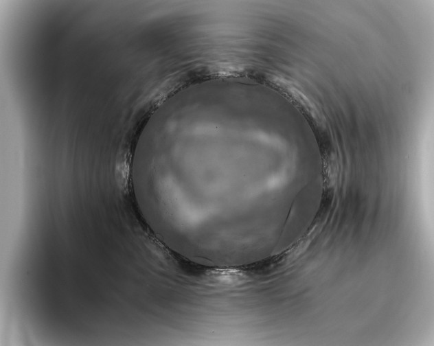X0000094200427200710261156