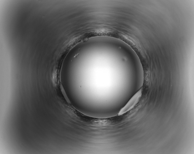 X0000094200428200710261156